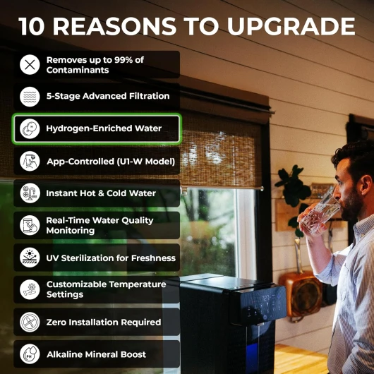 81f7Ha6cRgL._SL1500_