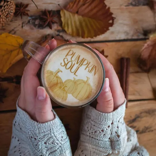 71CXf XqkmL._AC_SL1500_