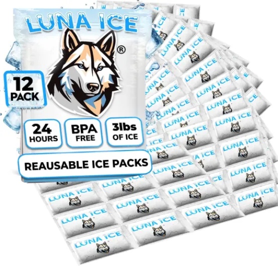 Dry Ice Packs for Shipping - Long Lasting ice Packs - 24+ Hour Freeze Power - BPA Free - 12 Pack Bulk 3 lb – Hielo Seco - Reusable Gel Bricks for Food Medium 12.0