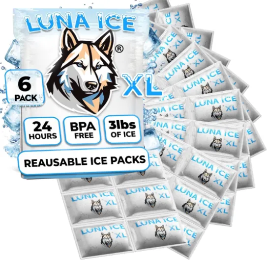Dry Ice Packs for Shipping XL - Long lasting ice packs - 24+ Hour Freeze Power - BPA Free - 6 Pack Bulk 3 lb – Hielo Seco - Reusable Gel Bricks for Food X-Large 6.0
