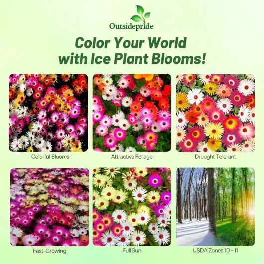 91jhUpCKbgL._AC_SL1500_