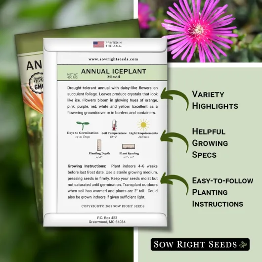 71BU04Ap3mL._AC_SL1500_