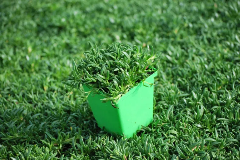 81ExxxMXZAL._AC_SL1500_