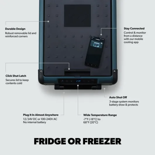 51Ws4n-KeBL._AC_SL1080_